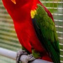 경주버드파크 이미지