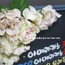 커피헵시바 이미지