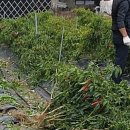 근정농장 이미지