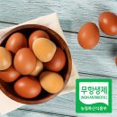 오리상회 이미지