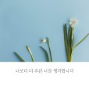 더푸른 이미지