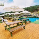 멍선생 애견카페 이미지