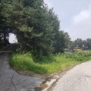 부발읍-02 이미지