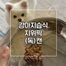 픽독 이미지