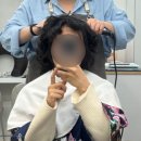 신우동물약품 | 신대방삼거리역미용실 언제나봄날헤어 레이어드컷 매직셋팅