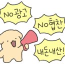 진우커튼