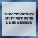 오독안심분양센터 강아지분양 고양이분양 인천점 | 인천애견분양 오독안심분양센터 강아지분양 고양이분양 인천점 인천애견분양