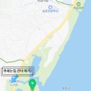 숨은 벚꽃명소 남양주 물의정원 후기