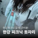 배길분식 | 여의도 한강공원 벚꽃 피크닉 명당 배달존2 대여 꿀팁 정리