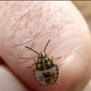 주 헤어샵 이미지