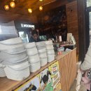 평화로09 | 제주 애월 아이랑 가볼만한 곳 동물먹이체험 가능한 새별프렌즈 동물원 내돈내산 이용후기