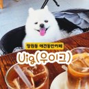 당땡길때 | 망원동 핫플 | 실내애견동반카페 "우이그" 대형 루프탑 디저트 카페 솔직후기