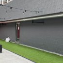 블루닷 포쉬텔 이미지