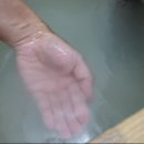 폴인럽 애견&고양이 미용 돌봄&호텔 이미지