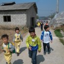 다윗농장 이미지