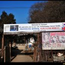 홍성동부농장 | 개심사