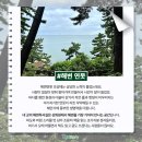 소설가의 낙원 이미지