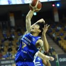 삼성인삼 이미지