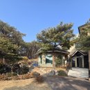 칠봉로 | 강릉단체팬션 추천- 2박3일 10명 강릉 가족여행 다녀왔어요 (강릉팬션 강릉애진심) 내돈내산