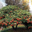 수성구민운동장역 이미지