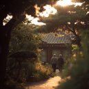 봉담 다정요양원 | 청담요양원 솔직 후기 – 화성·봉담요양대비 5가지 포인트
