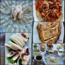 가보자 | [태안 자연산 횟집 추천] 바다보며 회정식 먹은 후기🍽 가보자횟집 솔직 리뷰!🌊