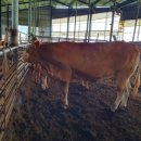 명인목장 이미지