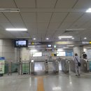 오도독뽀도독 | 가양역꽃집::데일리플라워::프리져브드 핑크수국꽃다발선물