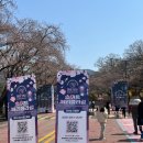 CU과천공원점 | 과천 경마장| 렛츠런파크서울 벚꽃축제 후기