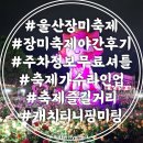 지에스25 울산옥동중앙점 | 울산대공원 울산장미축제 야간 찐후기 기본정보 주차장 가수 티니핑