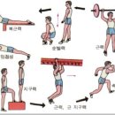 타워짐피트니스헬스 이미지