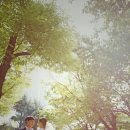 삼원에스 이미지