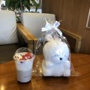 엔제리너스 충남태안점 | 태안 엔제리너스 x 마시마로 콜라보 오픈 일주일만에 인형구입 성공