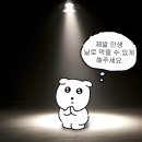 신비불닭발 | 🎲