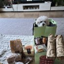 쌍둥이 노래연습장 이미지