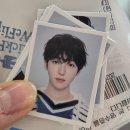 도그도기 | 이 거지같은 블퀘에 두번씩이나 버려지다니