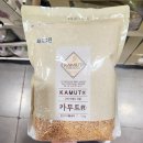 그린 월드 이미지