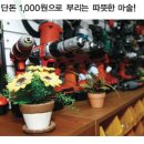 오토종합상사