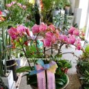 수원시 팔달구 팔달문로81번길 이미지