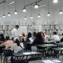 링크애견샵 이미지