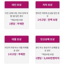 아이랑 4박 5일 오키나와 여행 준비 (3. 오키나와 렌터카 알아보기, 렌터카 보험, 오달 렌터카 예약)