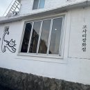 공주 소품샵 : 고사리잡화점(주차,제품,선물추천,내부사진,소품종류), 내돈내산