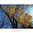 종로-종로-종로-종-257 이미지