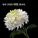 일화방 이미지