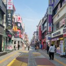 피시토랑 | 수원역 맛집 &#39;샤브토랑&#39; 혼밥후기. 리조또가 별미.