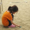 세검정초등학교 이미지
