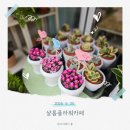 [명일동꽃집 샬롬플라워카페]14년 한자리를 지킨 감성 가득 꽃다발 포장 공간