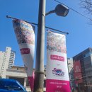 라이브레드 | 마리페 팝업스토어 러브라이브 중심 후기