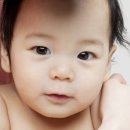 순수베이비 Daum카페