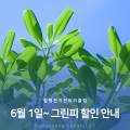 함평천지CC 네이버블로그